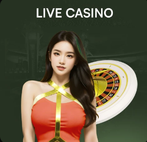 2026年4月11日中超第5轮河南队vs山东泰山直播【24直播网】